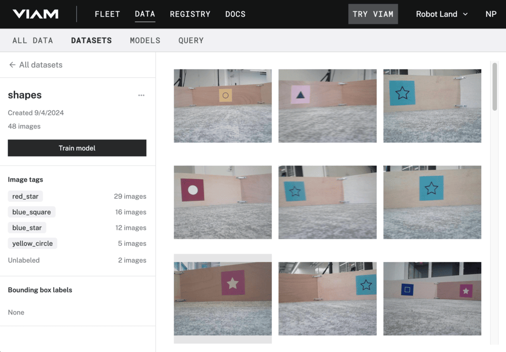 The shapes dataset.